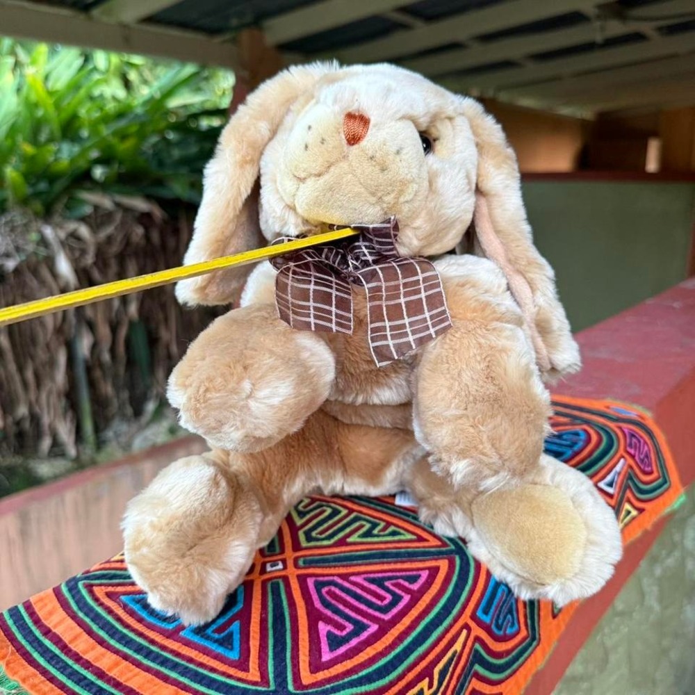 Carlton Cards Heartwarmers Plush Bunny‎ Rabbit with Bow Stuffed Animal Toy Doll